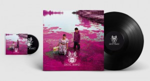 Erotic market, vinyl record packaging