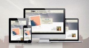 Site web de Faubourg Simone